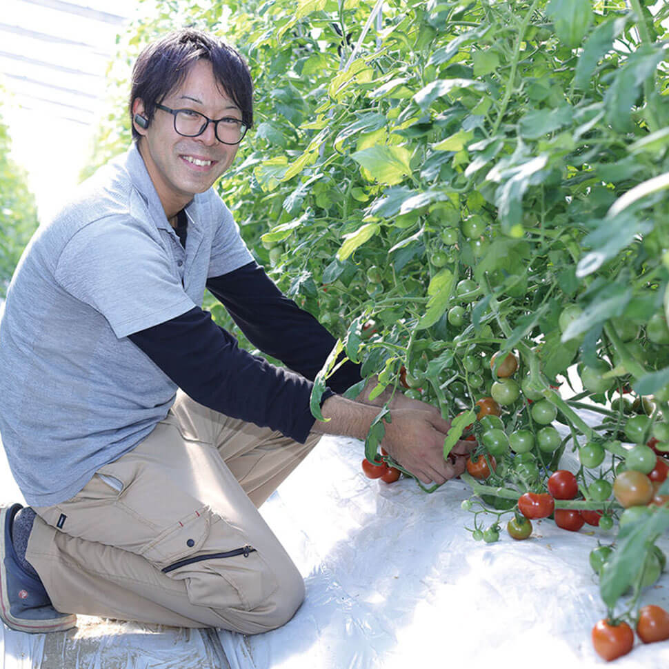 トマトを育む、JAにしみの海津トマト部会の福島 紳太郎さん 