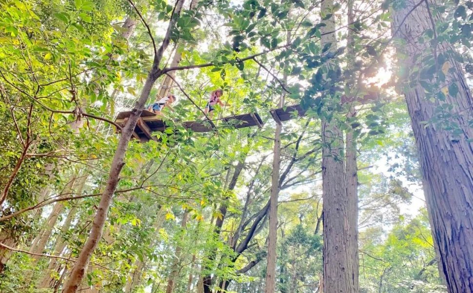 冒険の森せきで樹上アスレチックに挑戦