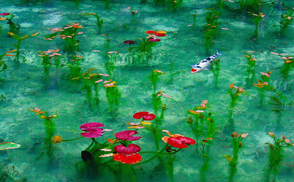 関市のモネの池