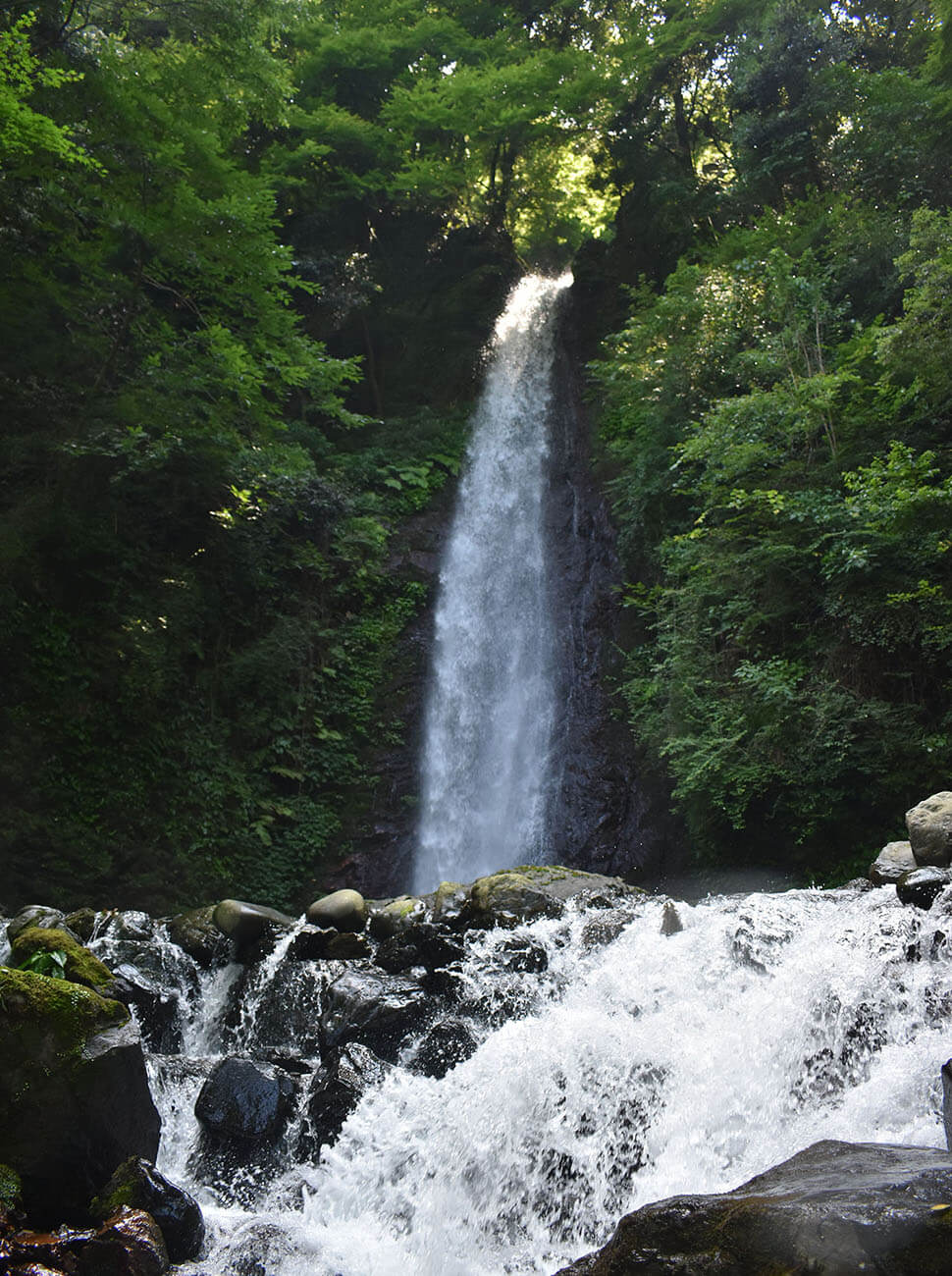 岐阜県｜養老郡｜養老町｜涼しい夏の見どころ特集｜養老の滝