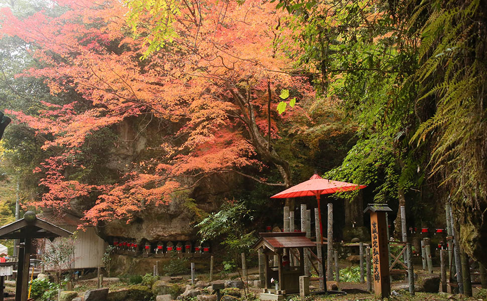 穴弘法の昼の紅葉風景