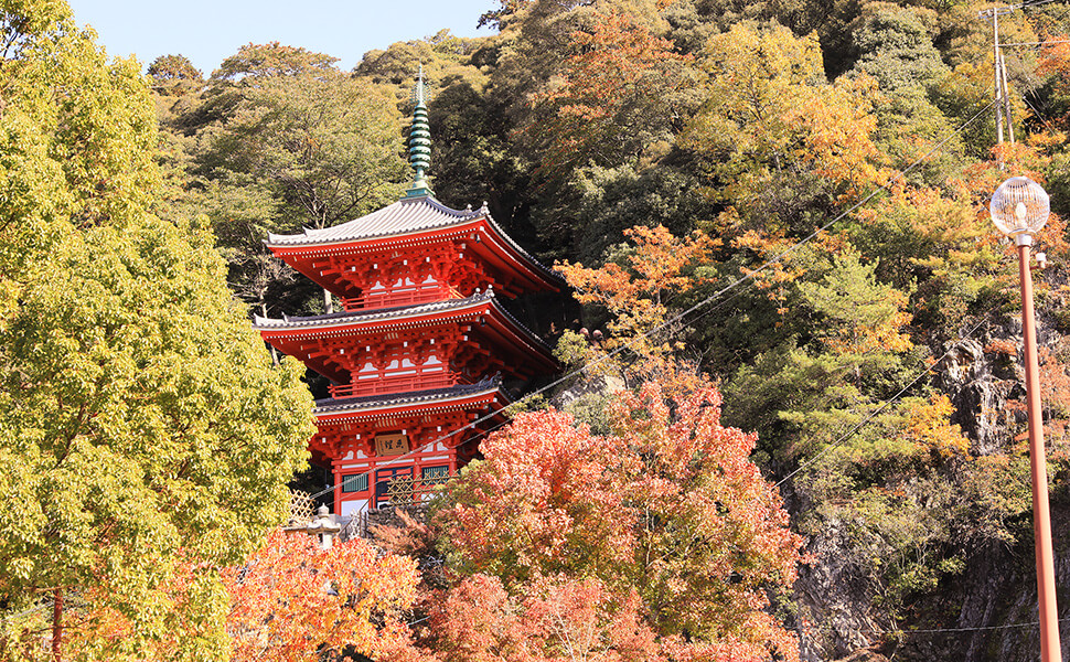 岐阜公園の三重塔と紅葉