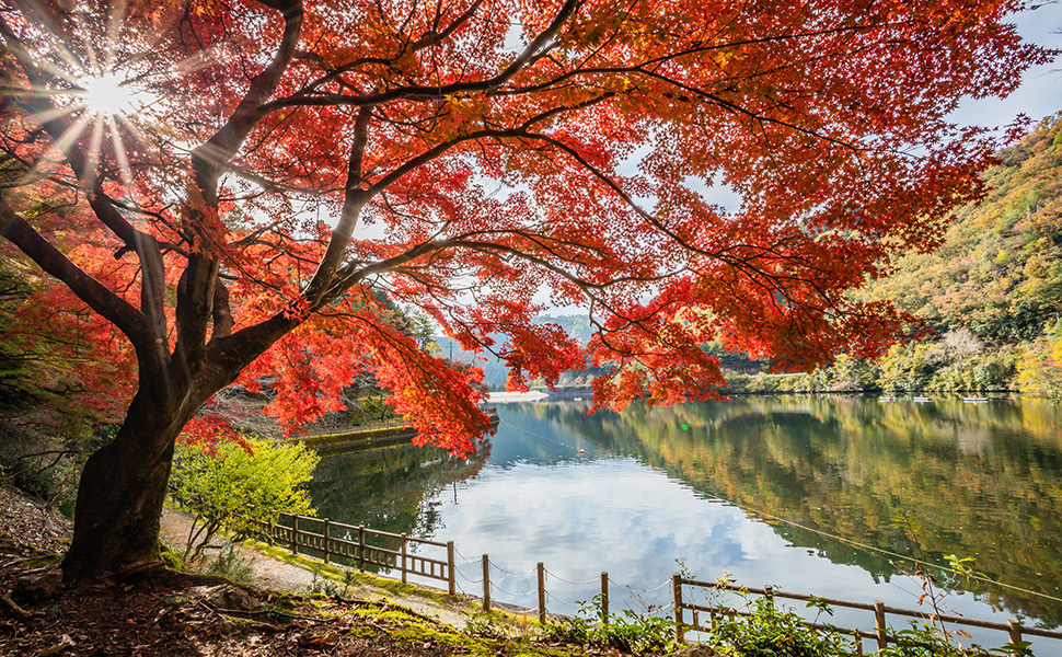 伊自良湖の紅葉風景