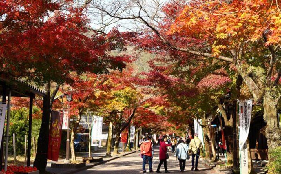 谷汲山華厳寺の紅葉