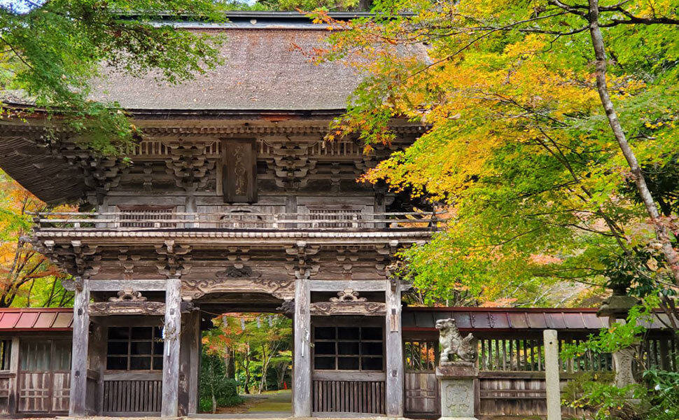 大矢田神社山門の紅葉風景