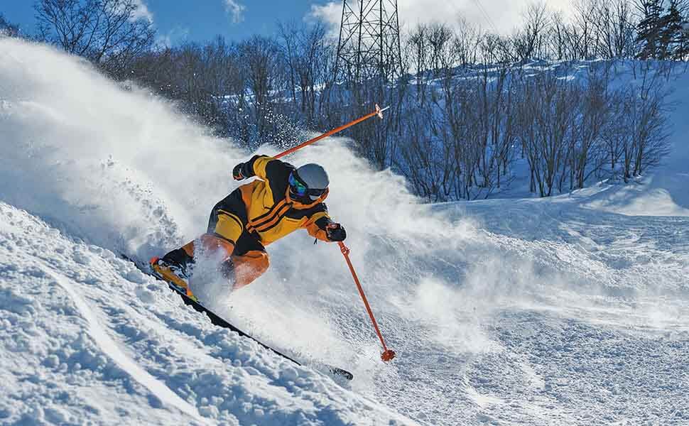 岐阜ゲレンデダイナランド