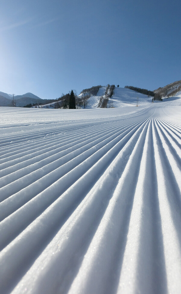 飛騨ほおのき平スキー場の朝いちのゲレンデ風景