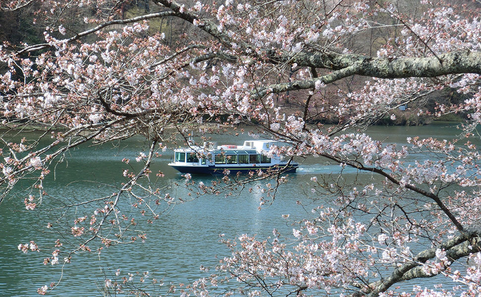 恵那峡の遊覧船と桜