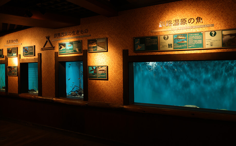 アクア・トトぎふのアジアの川の展示エリア
