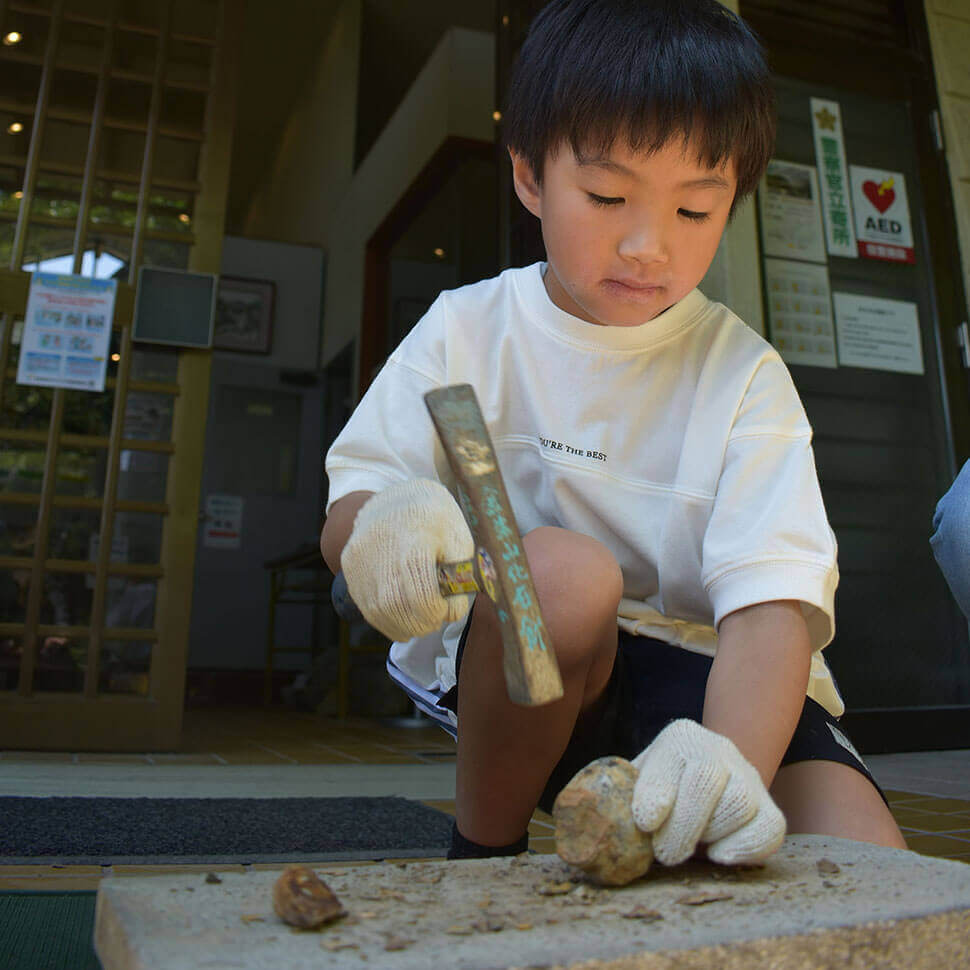 金生山化石館の体験
