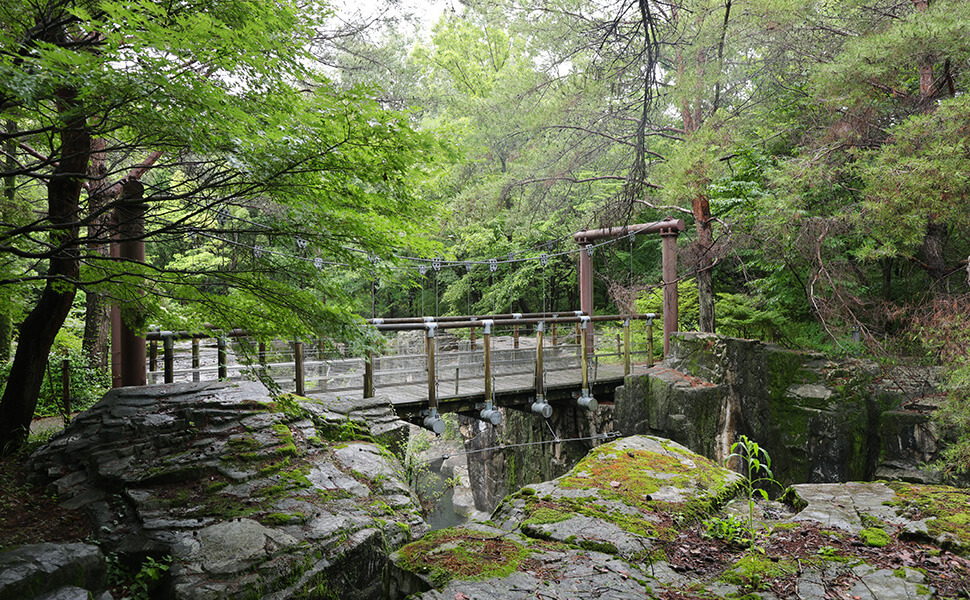 木曽川水園の吊り橋の風景