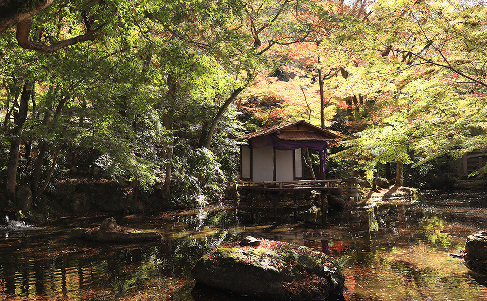 岐阜公園の信長の庭の紅葉風景