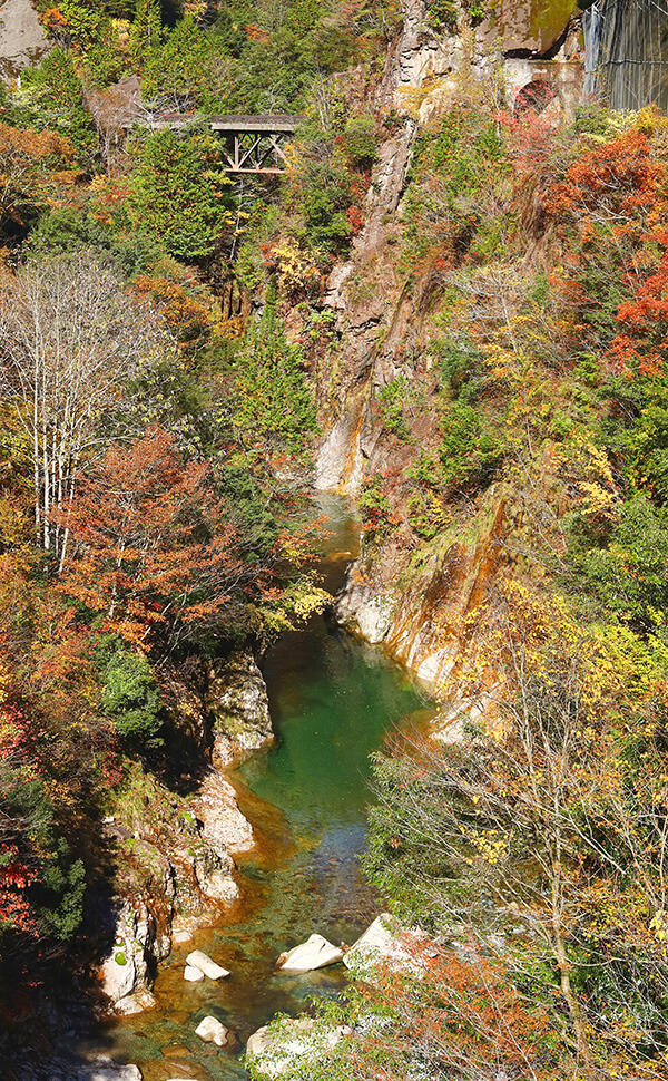 関市板取ちくにある川浦渓谷の紅葉の風景