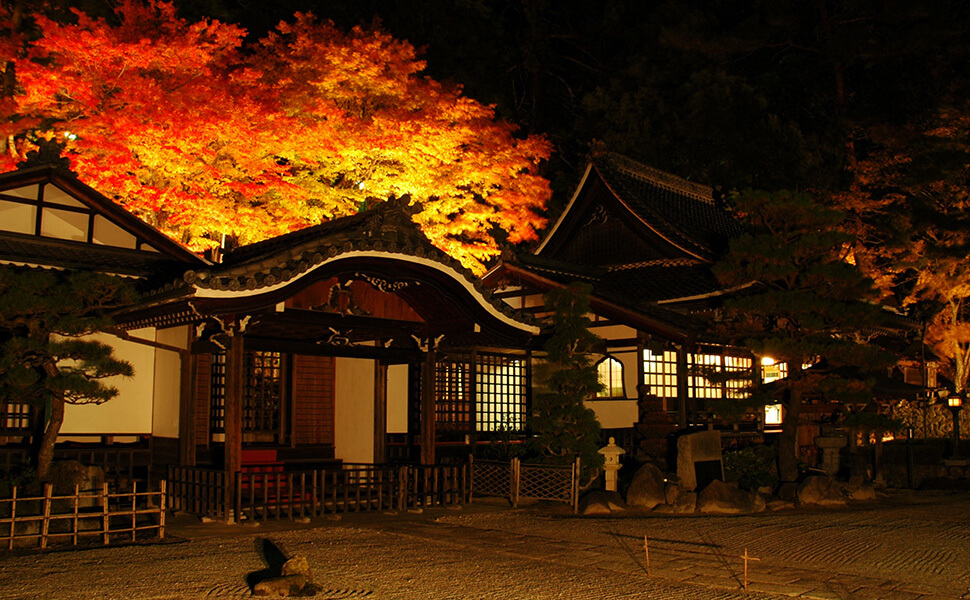 下呂市にある温泉寺の紅葉のライトアップ