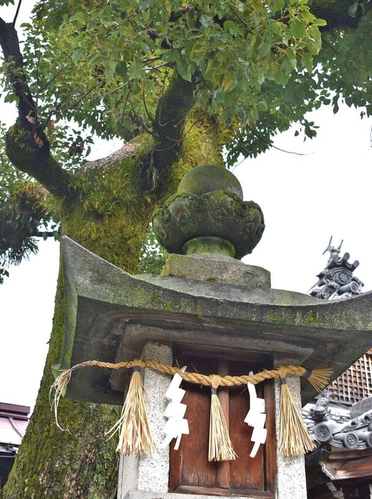 大垣八幡神社の大垣竜神王