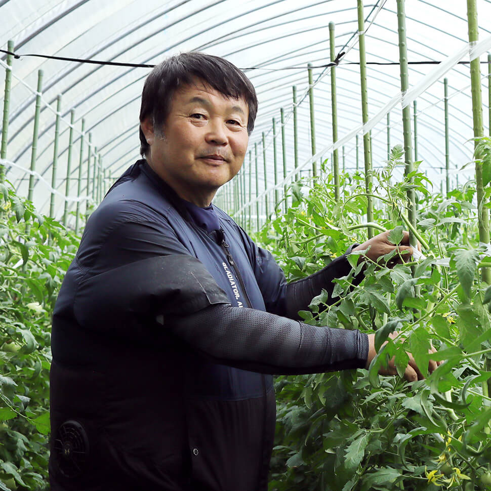 美濃白川夏秋トマト部会の部会長桂川公幸さん