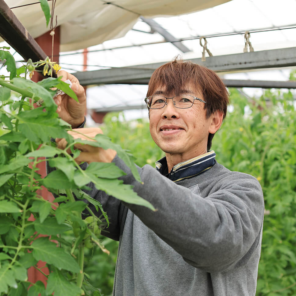 JAにしみの池辺園芸トマト組合組合長成願洋治郎さん