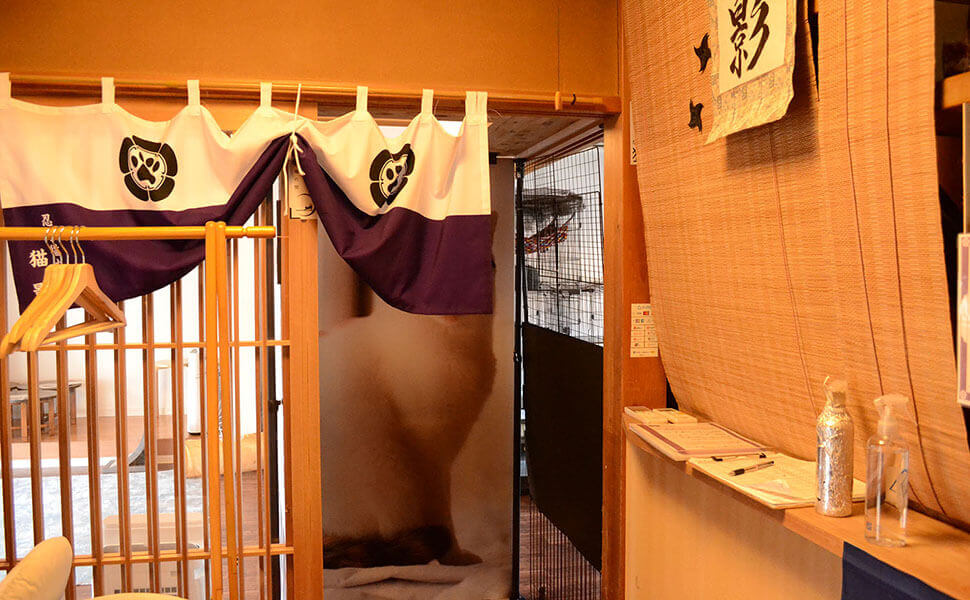 玄関入ってまず手指と靴下消毒をします。
