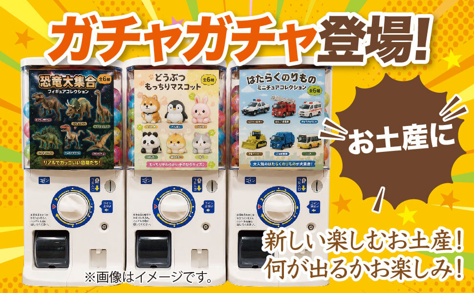 お土産にガチャガチャ登場！